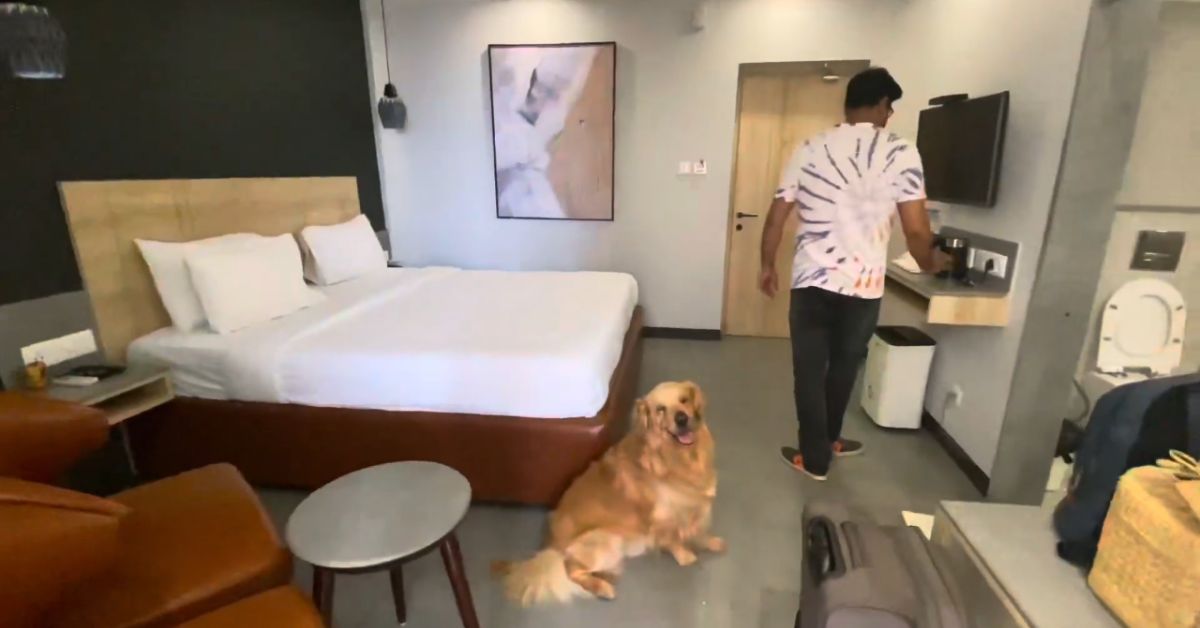 Pet Friendly Hotels in Puri - Purihotels.in