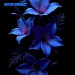 Ragav Arjun Profile Picture