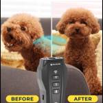 BarxBuddy Reviews Profile Picture