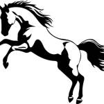 Black_Heart Profile Picture