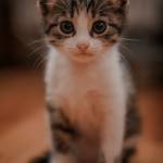 R Rr Profile Picture