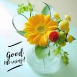 Sumit Singh profile picture