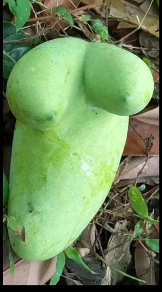 Comment image
