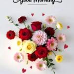 Sree Dharan Profile Picture