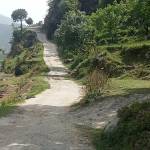 prince Alex Profile Picture