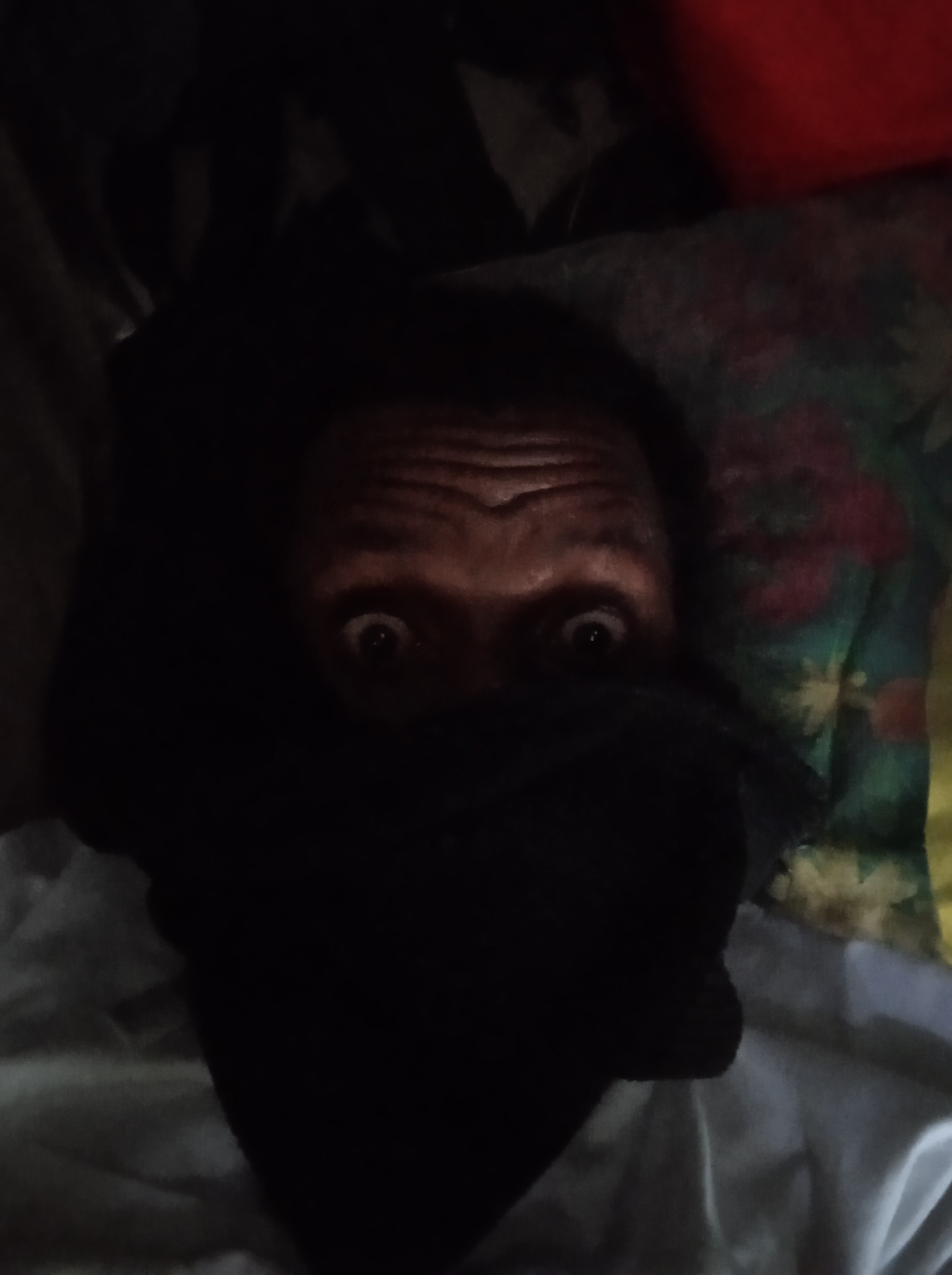 Gire Nox Profile Picture
