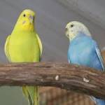 Pondamani R Profile Picture