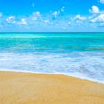 Kamal Singh Profile Picture