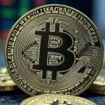 Drayton Bitline Profile Picture