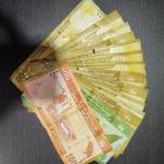 Niro Shan Profile Picture