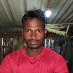 Dhunu Murmu Profile Picture