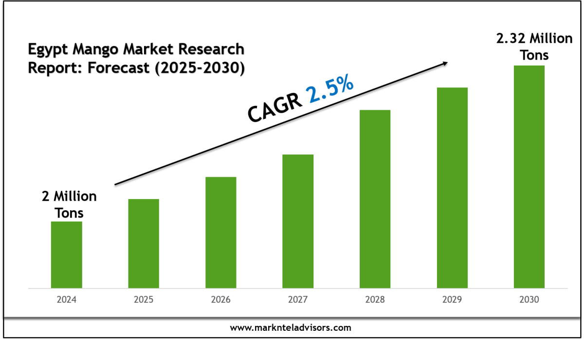 Top Companies in the Egypt Mango Market 2030 – Market Trends Analysis