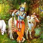 Selvam Selvam Profile Picture