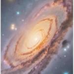 Sakam Kara Profile Picture