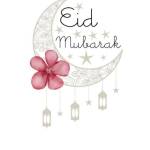 Meraj Shekh Profile Picture