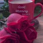 Aniket Singh Profile Picture