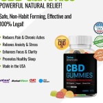 Thrive Botanicals CBD Profile Picture