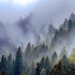 Tornedo Profile Picture