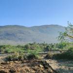 Rohit Yadav profile picture